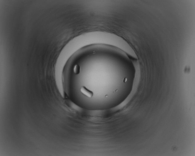 X0000094950336200712131627