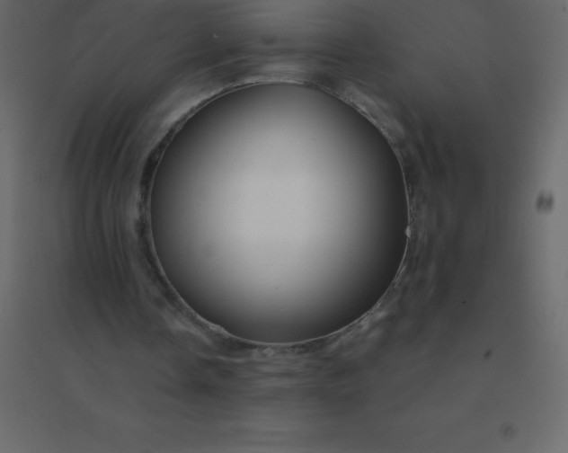 X0000094950338200712131627