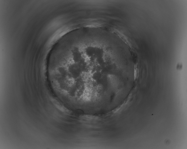 X0000094950339200712131627