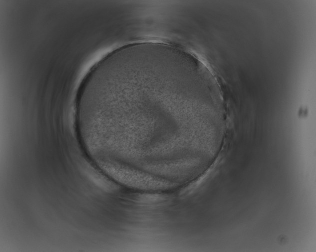 X0000094950342200712131627