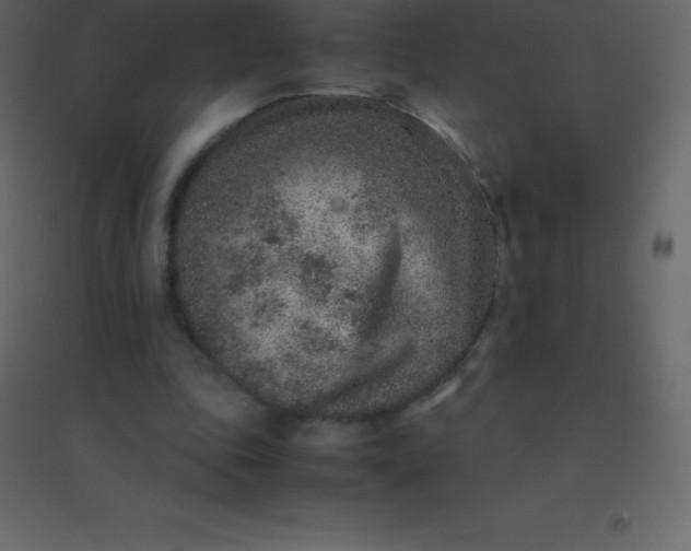 X0000094950343200712131627