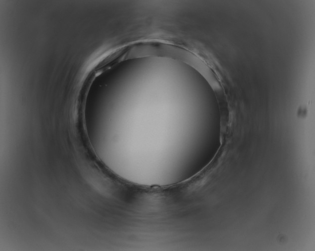 X0000094950344200712131627