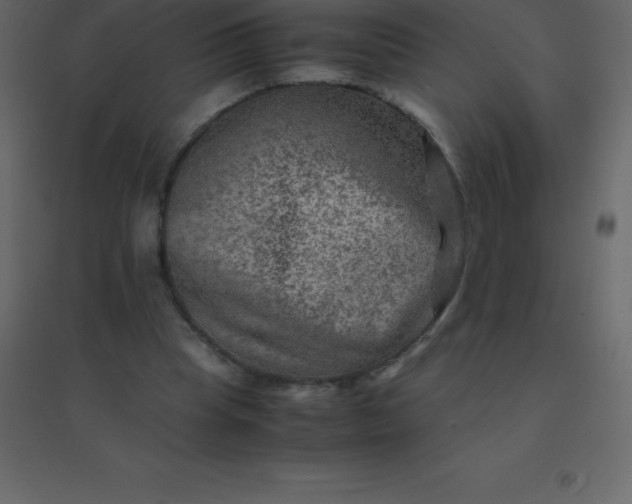 X0000094950345200712131627