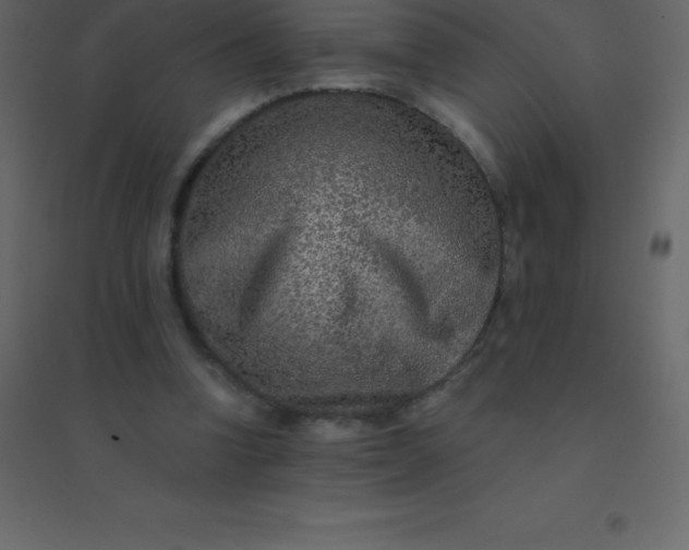 X0000094950346200712131627