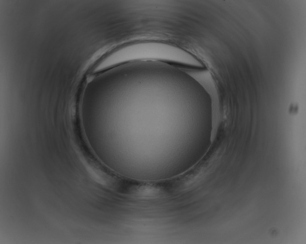 X0000094950348200712131627