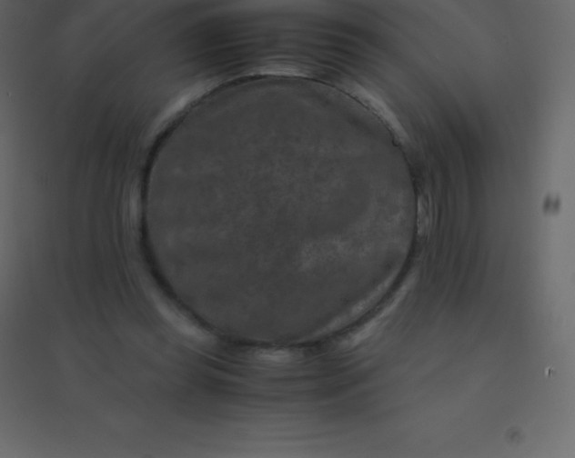 X0000094950349200712131627