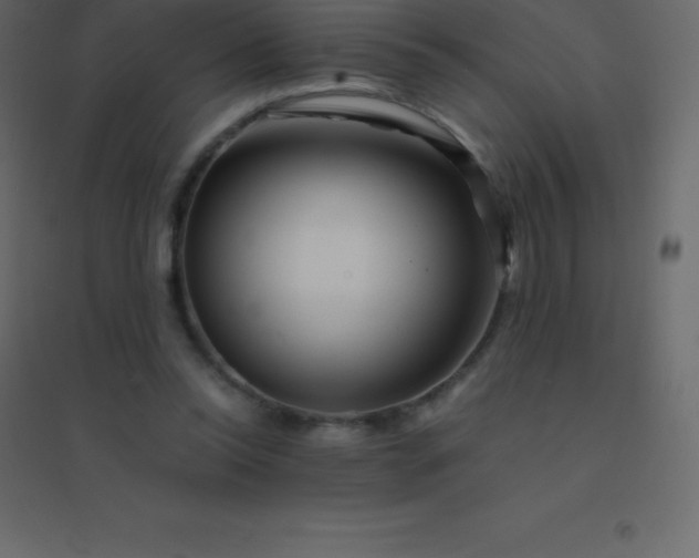 X0000094950350200712131627