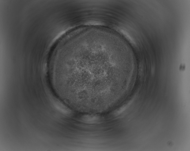 X0000094950351200712131627