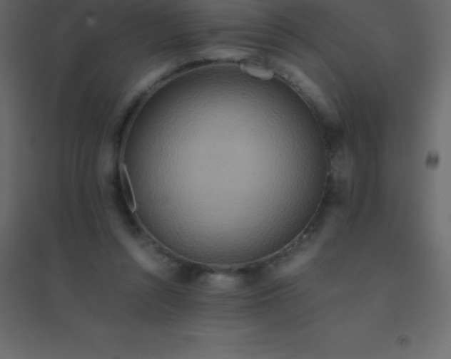 X0000094950352200712131627