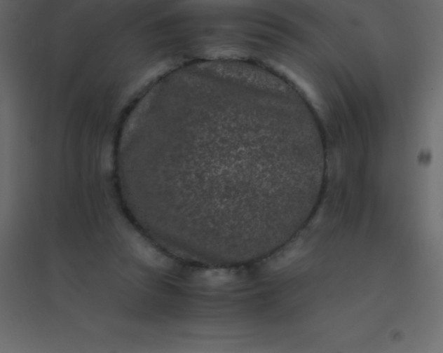 X0000094950353200712131627