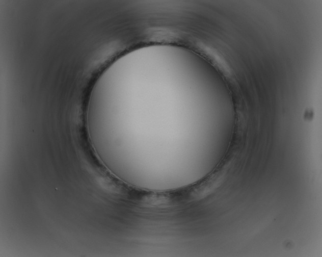 X0000094950354200712131627