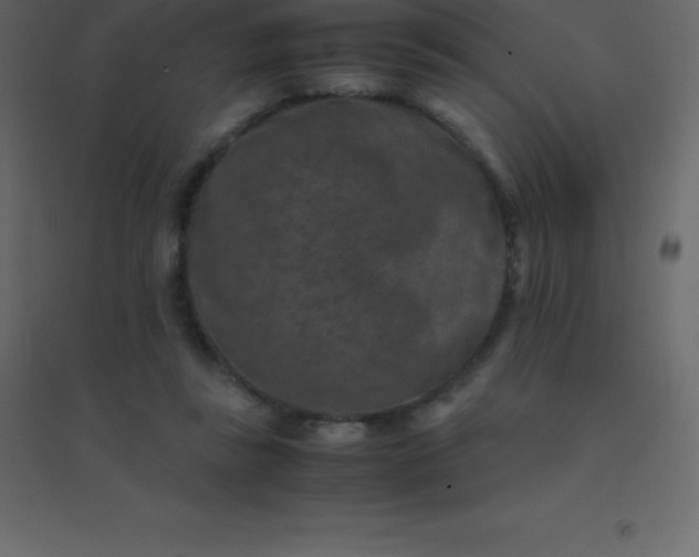 X0000094950355200712131627