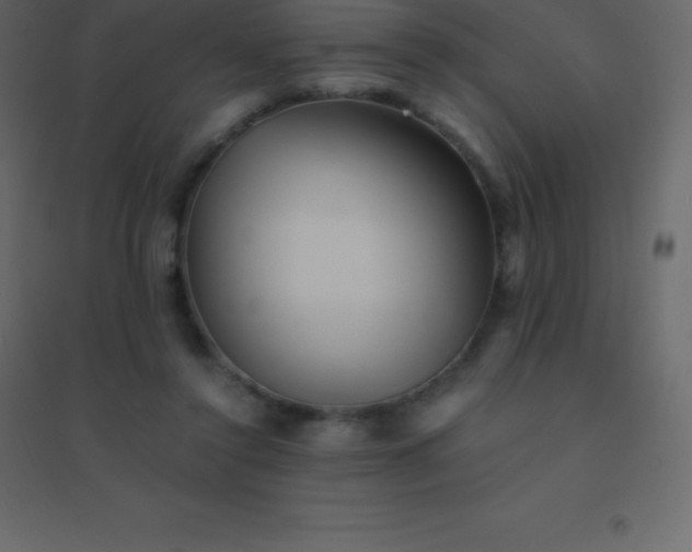 X0000094950356200712131627