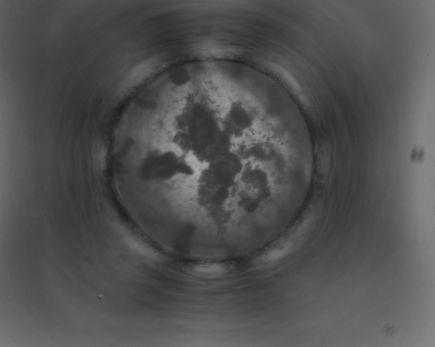 X0000094950357200712131627