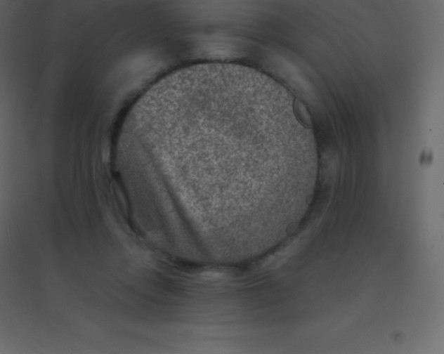 X0000094950358200712131627