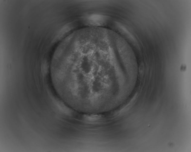 X0000094950359200712131627