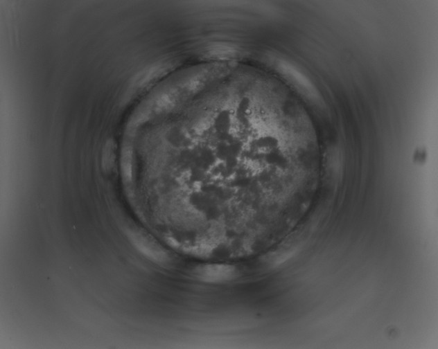 X0000094950361200712131627