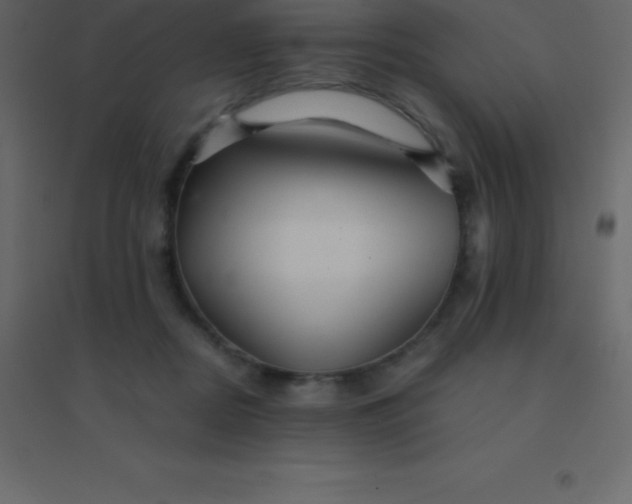 X0000094950362200712131627