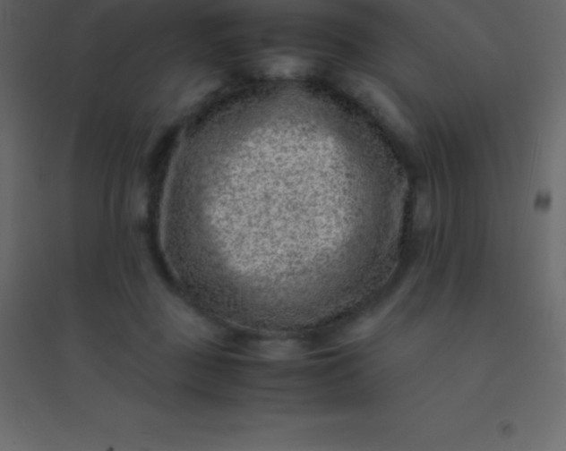 X0000094950363200712131627