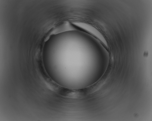 X0000094950364200712131627