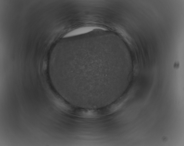 X0000094950365200712131627