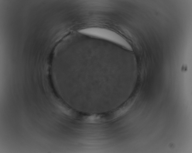 X0000094950366200712131627