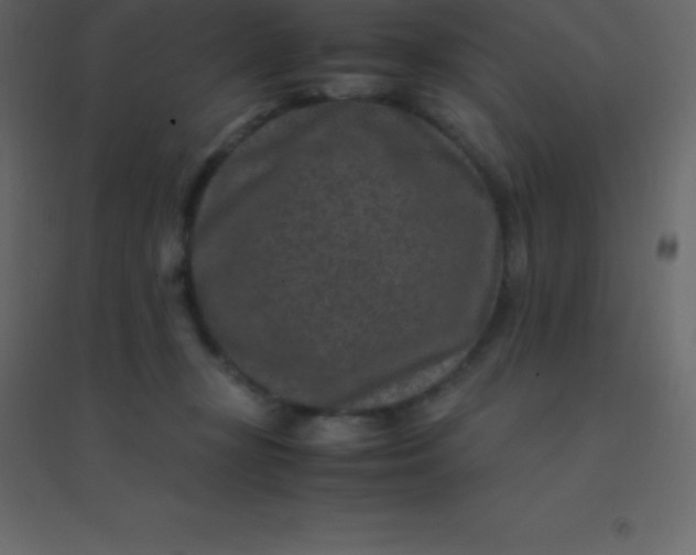 X0000094950367200712131627