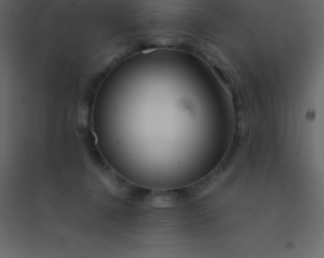 X0000094950368200712131627