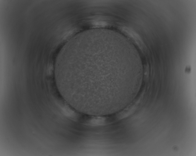 X0000094950369200712131627