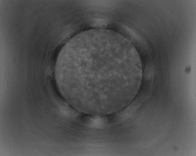 X0000094950370200712131627