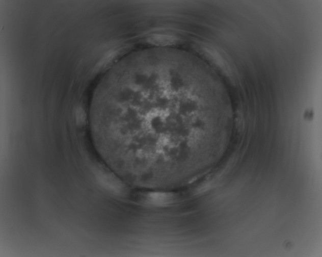 X0000094950371200712131627