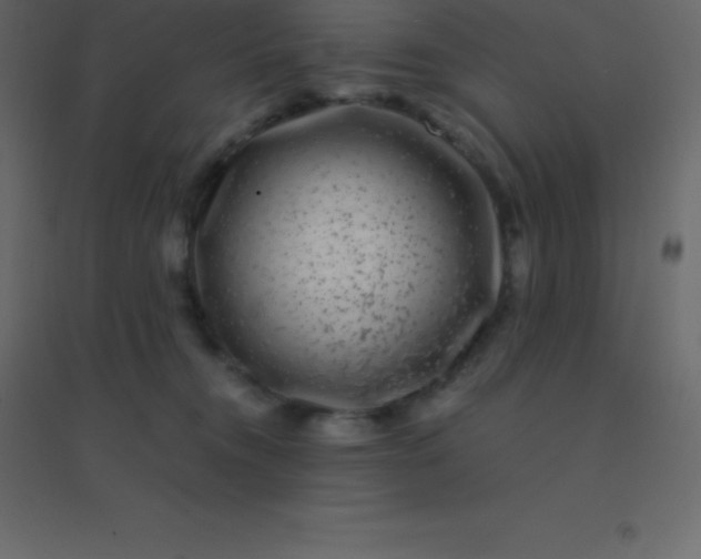 X0000094950372200712131627