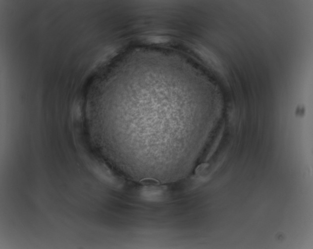 X0000094950373200712131627