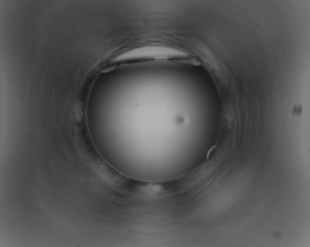 X0000094950374200712131627