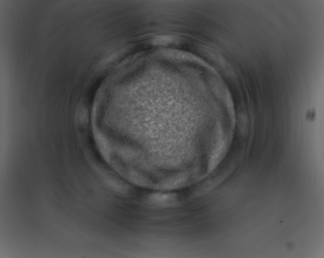 X0000094950375200712131627