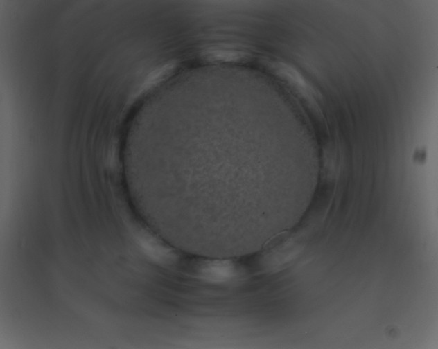 X0000094950377200712131627