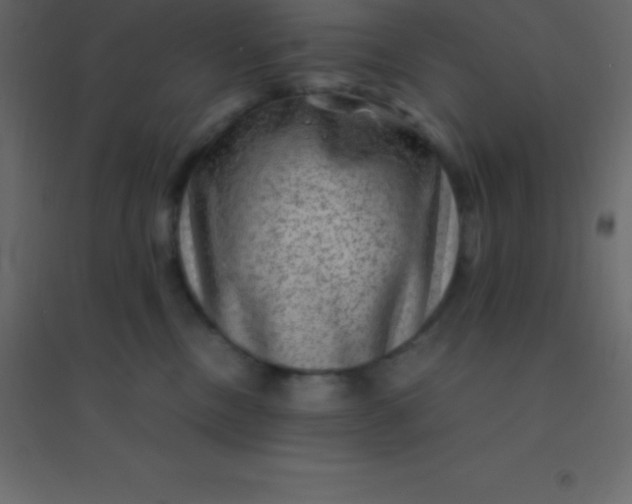 X0000094950378200712131627