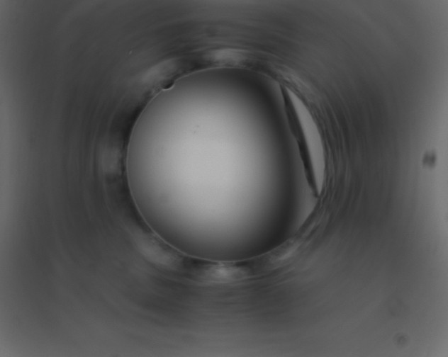 X0000094950379200712131627