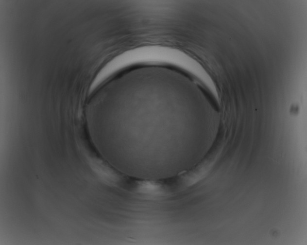 X0000094950380200712131627