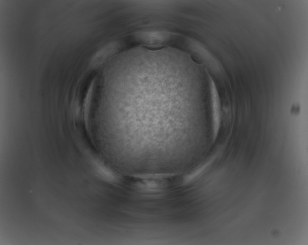 X0000094950381200712131627