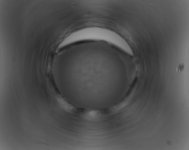 X0000094950382200712131627