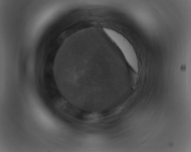 X0000094950383200712131627