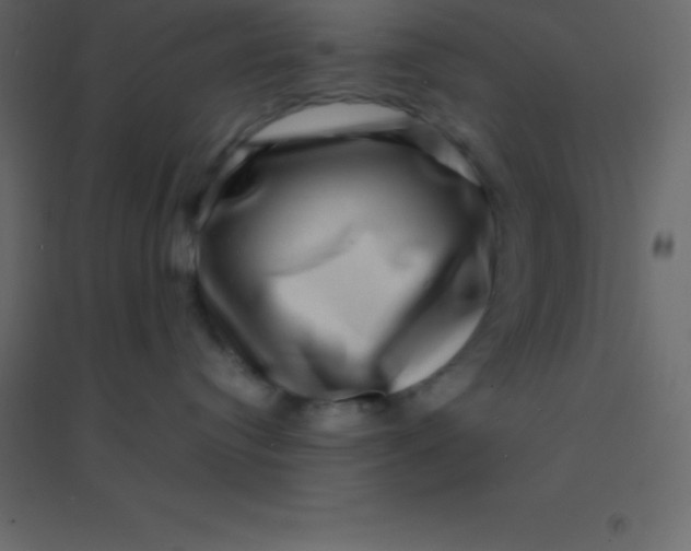 X0000094950384200712131627