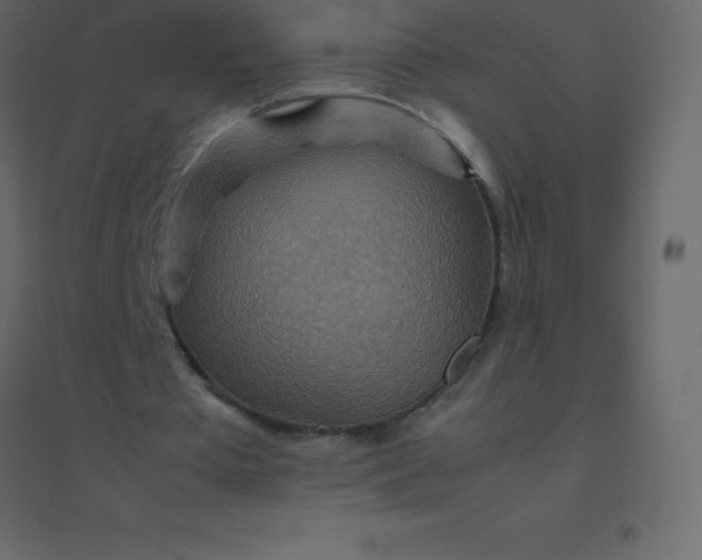 X0000094950385200712131627