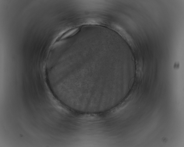 X0000094950386200712131627