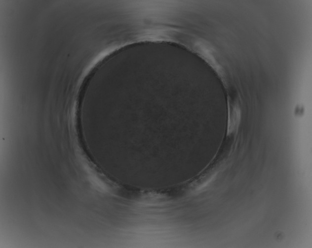 X0000094950387200712131627