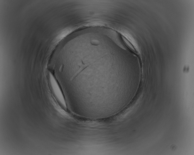 X0000094950389200712131627