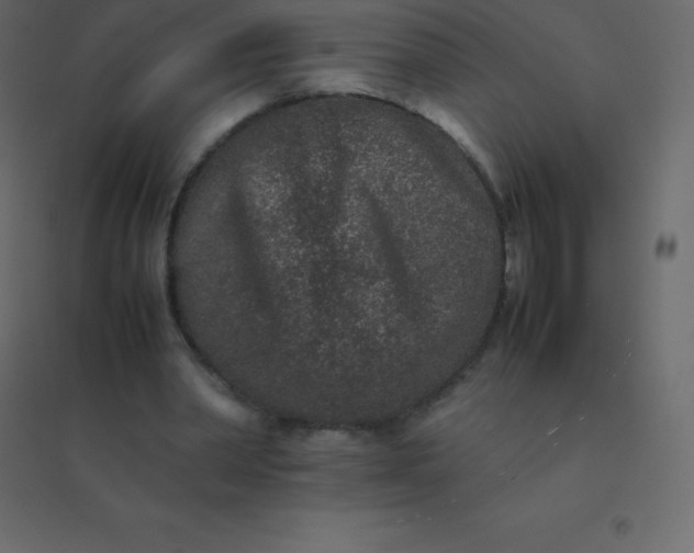 X0000094950390200712131627