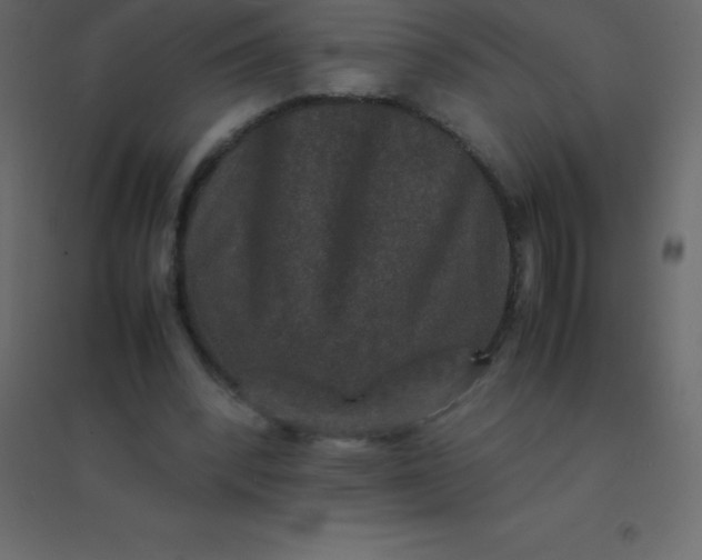 X0000094950392200712131627