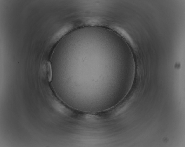 X0000094950393200712131627